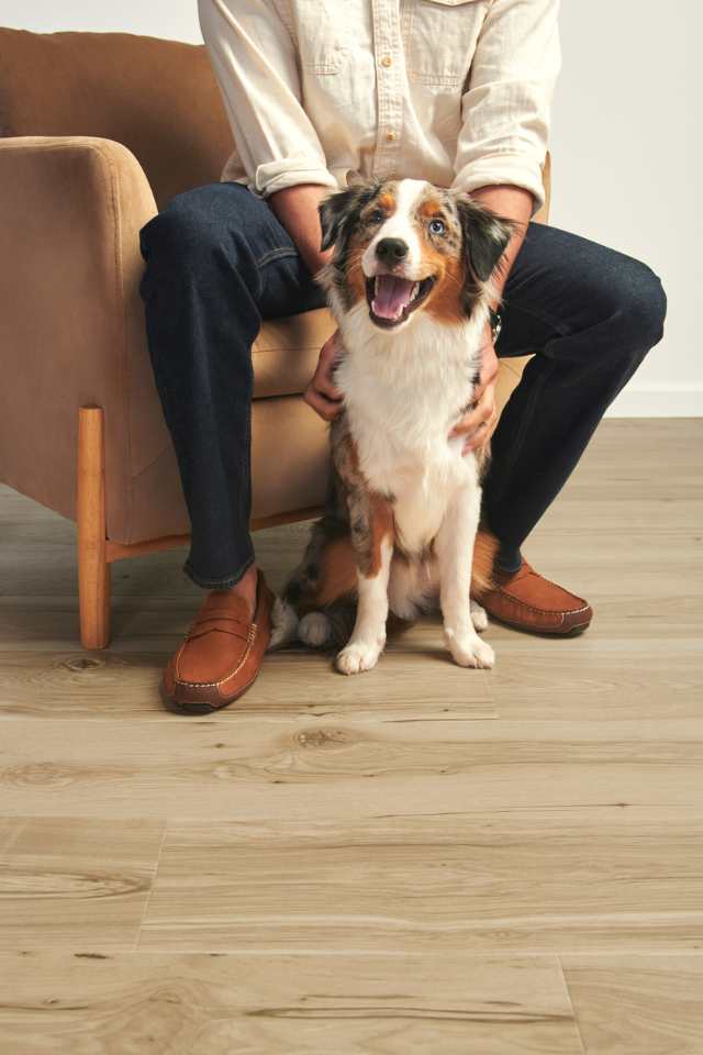 man sitting in chair with dog on hardwood floors